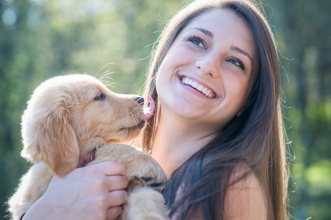 How much does a dog sitter cost? | Pawshake Blog