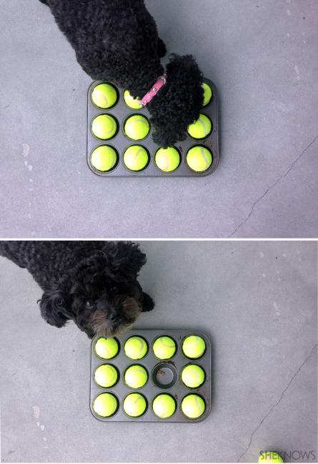 Dog Enrichment Made Easy: The Muffin Tin Game – Cheerful Hound